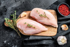 Dada Ayam: Sumber Protein Andalan untuk Tubuh Ideal