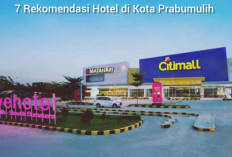 Mampir ke Kota Nanas, Ini 7 Rekomendasi Hotel di Prabumulih