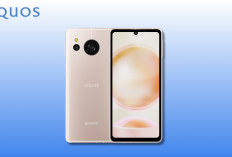 Sharp Aquos Sense8: Ponsel Tangguh dengan IP68, Performa Kencang & Layar IGZO OLED