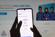 H-1 Pendaftaran CPNS 2024 Ditutup, Kementerian & Pemda Ini Masih Sepi Peminat!