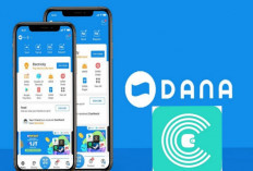 Cara Cerdas Mendapatkan Saldo DANA dengan Aplikasi CatchCash, Ini Caranya 