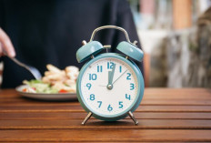 6 Cara Atur Jadwal Makan agar Tubuh Lebih Sehat dan Bertenaga