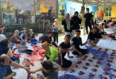 Kurban Tahun ke 7 SMAN 7 Prabumulih Salurkan 330 Paket Daging
