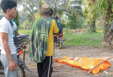 Wanita di Batanghari Ditemukan Terkubur di Kebun Sawit, Suami Diduga Pelaku