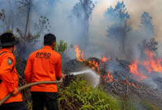 55 Hektar Lahan Terbakar di Muara Enim: BPBD Catat 33 Kejadian, Gelumbang Paling Rawan