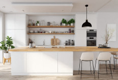 10 Inspirasi Desain Dapur Mewah yang Modern dan Elegan untuk Rumah Masa Kini