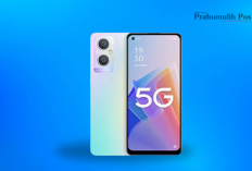 OPPO A96 – HP Cantik dengan Kamera Tajam dan Baterai Tahan Lama