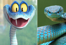 Gara-gara Zootopia 2, Anak Muda China Ramai-ramai Pelihara Ular Berbisa