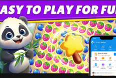 Main Game Bisa Dapat Uang? Begini Cara Panda Blast Beri Saldo DANA
