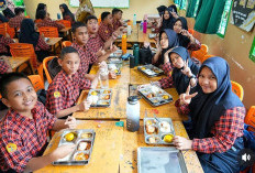 Kasus Keracunan Makanan, BGN Nonaktifkan Sementara 56 Dapur MBG