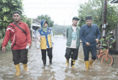 Banjir Belum Surut, Ratu Dewa Perintahkan Pejabat Dinas Siaga 24 Jam