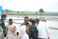 HKTI Sumsel Dilantik, Pemerintah Perkuat Sinergi Majukan Sektor Pertanian