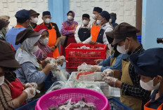 BGN Rancang Skema Asuransi untuk Pekerja dan Penerima Program Makan Bergizi Gratis