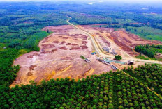 Bank Tanah Relokasi Lahan yang Kena Proyek Tol dan Bandara IKN, Siapkan 400 Ha