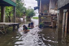 Hujan Deras dari Sore Hingga Malam, Ribuan Rumah di Ogan Ilir Terendam Air, Termasuk Akses ke Tanjung Senai