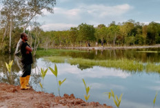 Danau Jodoh Desa Pangkul, Ikon Wisata Baru di Kota Prabumulih