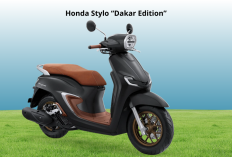 Honda Stylo 160 Dakar Edition: Konsumsi BBM Irit hingga 45 Km/L, Harga Mulai Rp29 Jutaan