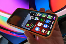 Mau Beli iPhone? Ini Daftar Harga Terbaru Seri 13 hingga 16 Pro Max