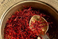 4 Herbal Alami yang Dipercaya Ampuh Menurunkan Gula Darah Tinggi