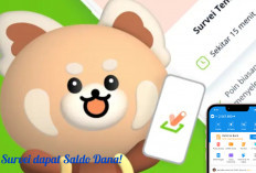 Main HP Dapet Duit? Ini Cara Mudah Dapetin Saldo DANA Lewat Surveyon