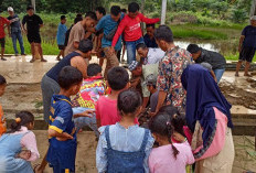 10 Sapi - 5 Kambing, Kurban di Sinar Rambang Meningkat: Ekonomi Peternak Lokal Terdongkrak