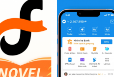 Fizzo Novel: Aplikasi Membaca Digital Hasilkan Uang dari Tukar Koin, Ini Cara Kerjanya