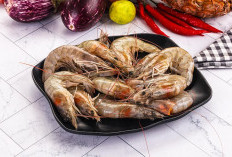 Tak Hanya Enak, Ini Berbagai Manfaat Udang untuk Tubuh