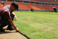 Jadi Sorotan, Rumput JIS Telan Anggaran Rp 6 Miliar