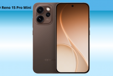 OPPO Reno 15 Pro Mini, HP Kecil Rasa Flagship dengan Kamera 200 MP