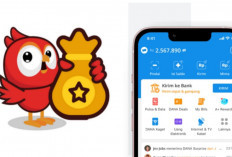 Baca Plus, Aplikasi Baca Berita yang Bisa Hasilkan Saldo DANA