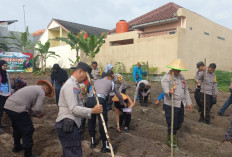 Polsek Prabumulih Timur Tanam Jagung di Lahan Milik Pengumpul Barang Bekas