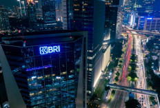 Green Financing BRI Terus Tumbuh di Tengah Transformasi Hijau Industri Perbankan 