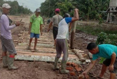 Jalan Rusak Parah, Warga Muara Sugihan Turun Tangan Bikin Jalan Kayu