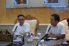 Pemkot Palembang Usulkan 1.778 Tenaga Honorer R4 Jadi PPPK Paruh Waktu, Jadi Daerah Pertama di Indonesia