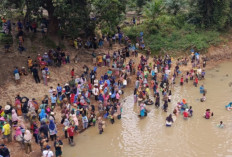 Seru! Warga Desa Jiwa Baru Lestarikan Tradisi Bekarang Ikan di Sungai Lubai
