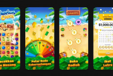 4 Aplikasi Penghasil Saldo Digital Tanpa Modal, Cukup dengan Internet