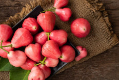 Jambu Air: Buah Segar dengan Segudang Manfaat Kesehatan