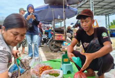 Harga Cabai Naik, Pengunjung Kalangan Desa Pangkul Ramai