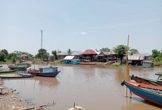 Serangan Buaya di Sungai Komering, Masyarakat Diminta Berhati-Hati