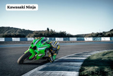 Kawasaki Ninja ZX-6R Vs Ninja ZX-10R ABS, Motor Sport Super yang Memudahkan Untuk Bermanuver