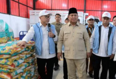 PPPK Bakal Ditempatkan di 80 Ribu Kopdes, Ini Alasannya