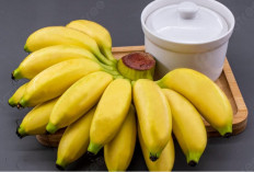 Rahasia Waktu Terbaik Makan Pisang agar Tubuh Lebih Sehat