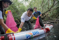 BRI Tanam 10.000 Pohon, Selamatkan Ekosistem Pesisir
