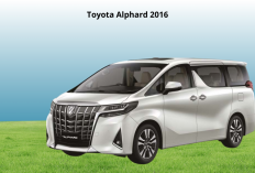 Toyota Alphard 2016 Bekas Masih Jadi Primadona, Ini Ulasan Lengkap Kelebihan dan Kekurangannya