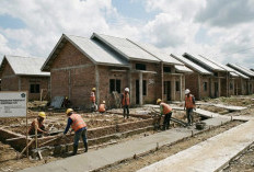 Target 2 Juta Rumah! Pemerintah Bentuk Lembaga Khusus Atasi Masalah Perumahan