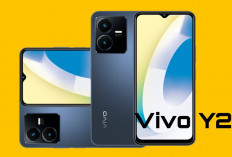 HP Spek Dewa Harga Murah! Vivo Y22 Miliki Sertifikasi IP54 Tahan Debu dan Percikan Air