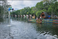 Mumpung Masih Libur, Ajak Keluarga Berlibur Ke Wisata Alam Yang Indah ini 