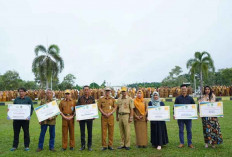 5 Kelompok Terima Batuan Paket Budaya Ikan Lele 