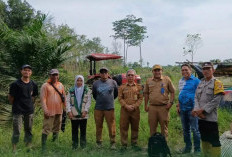 548 Poktan - KWT Jadi Kekuatan Ketahanan Pangan Prabumulih, Dinas Pertanian Intensifkan Pembinaan Petani