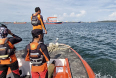 Kapal KM Althaf Hilang Kontak di Perairan Menuju Enggano, ABK Belum Ditemukan